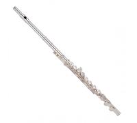Trevor James TJ10XP Student Flute Silver Riser and Lip