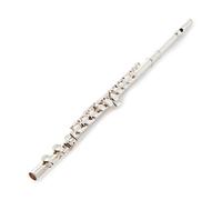 Trevor James TJ5X Student Flute
