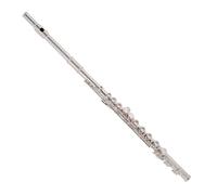 Trevor James TJ5X Student Flute