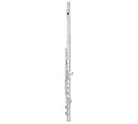 Trevor James Virtuoso Flute Outfit - Straight Head with Shaped Lip