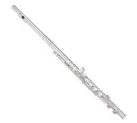 Trevor James Virtuoso Flute Shaped Lip Plate