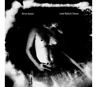 Trevor Sensor - Andy Warhol's Dream