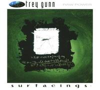 Trey Gunn - Raw Power: Surfacing 1