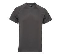 Tri Dri Mens Panelled Short Sleeve T-Shirt (3XL) (Charcoal)