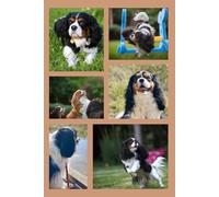 Tri with Love: Cavalier King Charles Spaniel Notebook: A Cute & Practical Journal Notebook for Dog Lovers (K&Z Cavalier Lover Series)