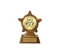 Triathlon Trophy Award Premier Star Antique Gold 120mm Heavy Resin Run Cycle Swim Free Engraving -troshow1-g-trd