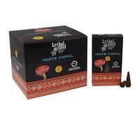 Tribal Soul Premium Backflow Incense Cones (Jumbo, 10 Cones) | Aromatic, Long-Burning for Waterfall Incense Burners : (4 Packs, White Copal)