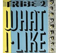 Tribe 2 - What I Like [12" Maxi]