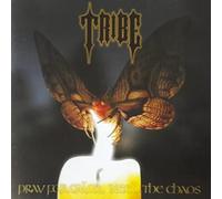 Tribe - Pray for Calm, Need the Chaos