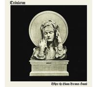 Where The Gloom Becomes Sound
