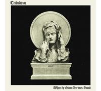 Where The Gloom Becomes Sound [VINYL]