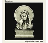 Where The Gloom Becomes Sound [VINYL]