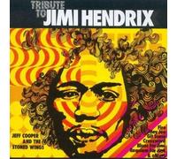 Tribute To Jimi Hendrix