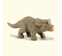 Triceratops Baby