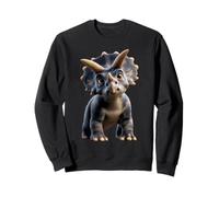 Triceratops Dinosaur I Love Dinosaurs Dino Cute Triceratops Sweatshirt