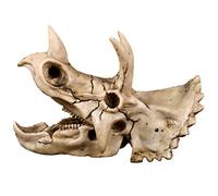 Triceratops Dinosaur Skull Resin for Skeleton Teaching Model Hallo Aid Teaching Dog Canine Aid Lumbar Vertebrae Coccyx Model Anatomy Display Study Veterinary Research
