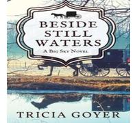 Tricia Goyer Beside Still Waters: A Big Sky Novel Paperback Book Tricia Goyer Multicolor