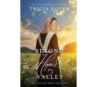 Tricia Goyer Beyond Hope's Valley: A Big Sky Novel Paperback Book Tricia Goyer Multicolor