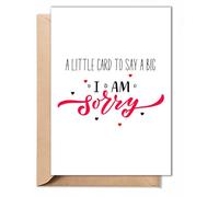 TRIDECOR Apology Card - Cute I Am Sorry, Heartfelt Apology Greeting Card for Him, Her, Friends, Couples - A Little Card to Say a Big I Am Sorry - Folded 5x7 Inch with Envelope