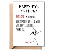 TRIDECOR Funny 17th Birthday Card for Teens, Boys, Girls - Fun 17 Year Old Birthday Gifts - Hilarious Gen Z Slang Meme Gift for Son, Daughter, Brother, Friends - 5x7inch Folded Card with Envelope