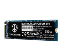 TRIDENITE 256 GB NVMe M.2 2280 PCIe Gen 3x4 Internal Solid State Drive (SSD)