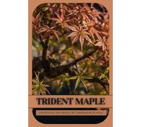 Trident Maple: Ultimate Starter’s Guide to Bonsai Tree