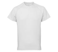 Tri Dri Mens Panelled Short Sleeve T-Shirt (L) (White)