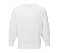 TriDri Unisex Adult Recycled Sweatshirt RW10898
