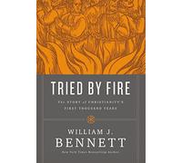 Tried by Fire: The Story of Christianity's First Thousand Years: 3 (An Amish Secrets Novel)