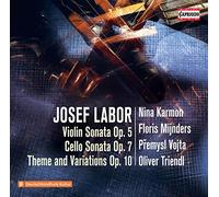 Triendl/Karmon/Mijnders - Josef Labor: Violin Sonata Op. 5, Cello Sonata Op. 7, Theme and Variations Op. 10