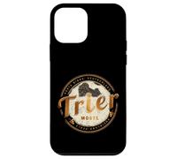 Trier Vintage Moselle Rhineland-Palatinate Germany Case for iPhone 12 mini