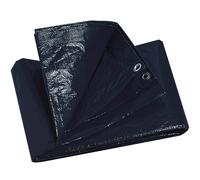 TRIGANO Bache 2 M X 2 M - Mixte - Blue - size only size- model 2025 only size
