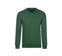 Trigema Organic Cotton Sweatshirt, ivy, XL