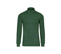 Trigema Women's Langarm Ski-und Sport-rollkragenpullover Sweatshirt, Ivy, XXL