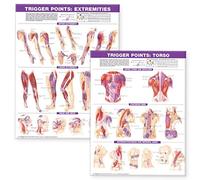 Trigger Point Chart Set: Torso and Extremities