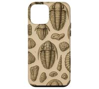 Trilobites Fossils and Rocks Pattern for Fossil Hunters Case for iPhone 12 mini