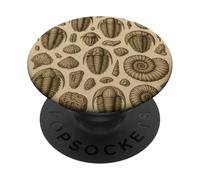 Trilobites Fossils and Rocks Pattern for Fossil Hunters PopSockets Adhesive PopGrip