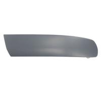 Trim/Protection Strips BLIC 5510-00-9568924P for VW