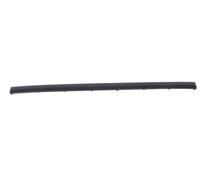 Trim/Protection Strips BLIC 5513-00-0060970P for BMW