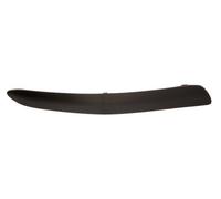 Trim/Protection Strips BLIC 5513-00-1632922P for NISSAN