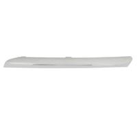 Trim/Protection Strips BLIC 5513-00-1632925P for NISSAN