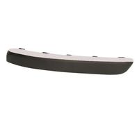 Trim/Protection Strips BLIC 5513-00-5537921P for PEUGEOT