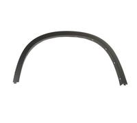 Trim/Protection Strips BLIC 5703-04-0092421P for BMW