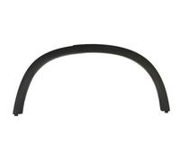 Trim/Protection Strips BLIC 5703-04-0092595P for BMW