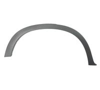 Trim/Protection Strips BLIC 5703-04-0096596P for BMW