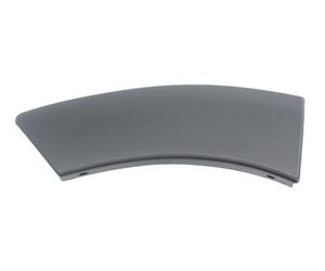 Trim/Protection Strips BLIC 5703-04-1305598P for DACIA