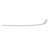 Bumper trim strip Left Rear chrome 5703-05-0075971P BLIC for BMW 7