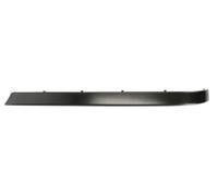 Trim/Protection Strips BLIC 5703-05-0075976P for BMW