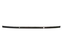 Trim/Protection Strips BLIC 5703-05-0075978P for BMW