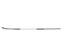 BLIC 5703-05-3527972P Trim/Protective Strip, bumper for MERCEDES-BENZ